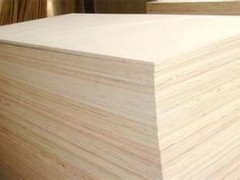 大量供应 杉木拼板 实木拼板 家具拼板等产品