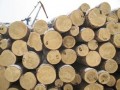 绥芬河市华邦木业-产品图片