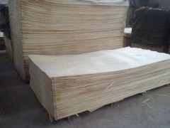 文安县曲森单板厂批发 桉木单板 桦木单板 椴木单板 保证质量