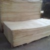 文安县曲森单板厂批发 桉木单板 桦木单板 椴木单板 保证质量
