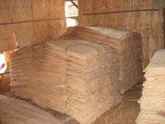 精品 桦木单板 旋切木皮 价格优惠  欢迎定制图1