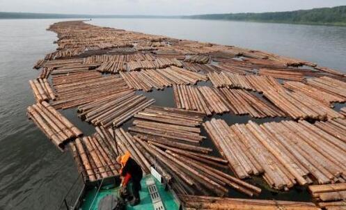 俄罗斯木材运输：安加拉河河上运木奇观