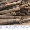 厂家直销 松柏木原木 家具材料 质细腻坚硬 防腐性强