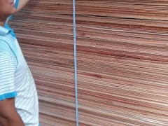 优质桉木面底板 桉木长中板桉木单板