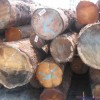 优质 巴劳木 赤松 原木加工 量大从优  保证质量