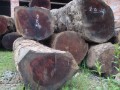 成都市国生木业有限公司—产品图片