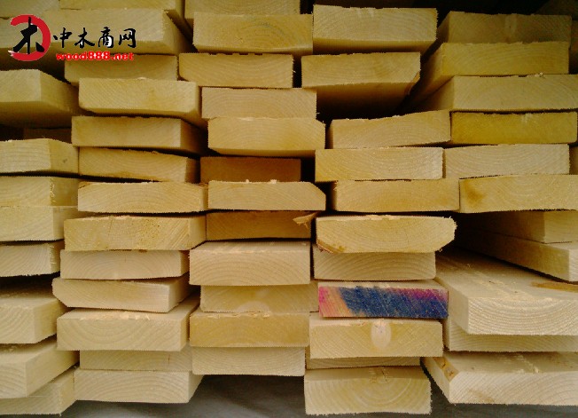 精品桦木板材