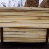 欧洲进口桦木板材  马六甲板芯  烘干板材  原木