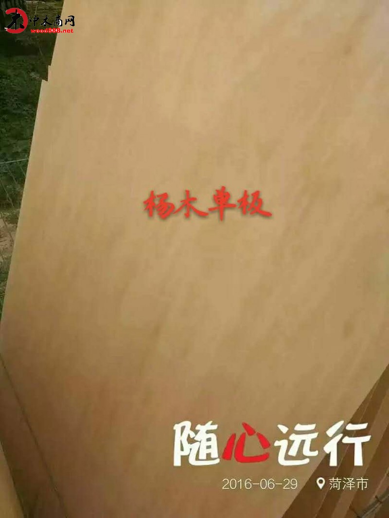 山东泓彰木业有限公司是杨木旋切单板