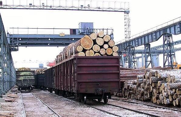 俄罗斯稳占中国进口木材第一大货源国地位