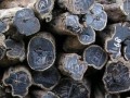 马来西亚伟业木材贸易有限公司