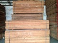天津道明国际木业