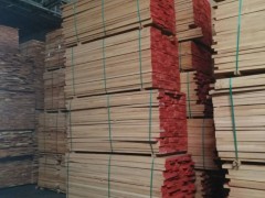 一手货源 榉木烘干板材 欧洲进口榉木 可加工 定制