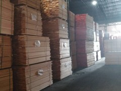 大量供应榉木板材 欧洲榉木原木 家具材 厂家直销