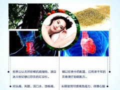 厂家批发 新品红豆杉芳香理疗养生枕  防癌图1