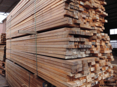 克隆木（龙脑香）  高级地板 家具 木制品 最佳用料