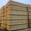 直销智利辐射松  建筑板材  原木加工