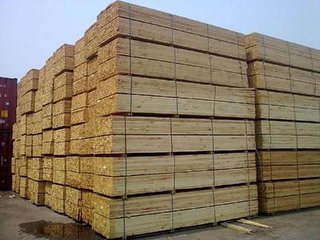 直销智利辐射松  建筑板材  原木加工.