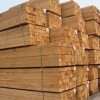 供应木方进口木方 建筑模板木方 建筑工地木方