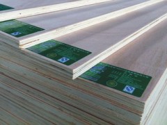 杨木多层板 门套板 生态板 杨木板材