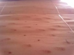 廉江市明辉木业 直销 桉木单板 天然木皮 量大从优 保证质量图1