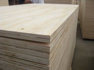 夹板 多层木夹板 装修板