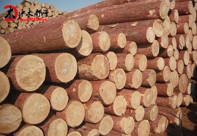 俄罗斯伊尔库茨克州加大非法木材采伐力度
