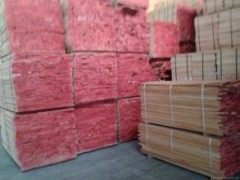 大量供应榉木板材 欧洲榉木 板材 家具材 厂家直销