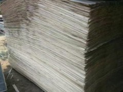 菏泽市顺利木业 热销款4x8尺杨木原色木皮 质优价廉