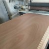 一手货源 实木厚芯细木工板 杂木胶合板 OSB包装板大量批发