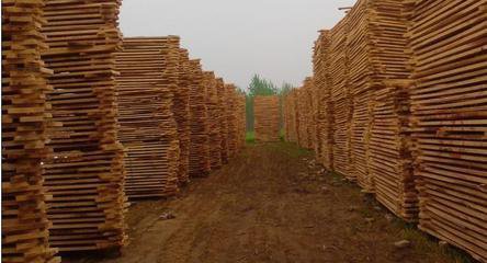 专业定制各种规格板材  杨木板材 桦木板材 樟子松  刨光料 原木