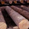 合昌国际木材贸易 大量供应 柚木原木 进出口贸易