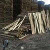 专业生产加工松木 杉木 桉木 樟木 加工木材 木方 板材