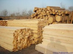 桦木原木加工板材 实木 烘干板材 桦木家具木 桦木原木