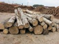 吉林亿德木业-产品图片