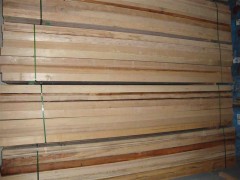 长期供应 杨木 松木 品种多 质量优图1