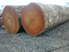 大量销售 供应非洲防裂进口非洲原木 优质非洲原木