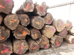 热销供应 进口南美原木 精品原生态南美原木 优质实木图1