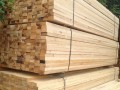 天津市加建诺木材销售有限公司-产品图片