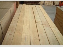 可定制各种规格 托盘料 建筑木方 品质俣证