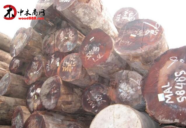 张家港木材市场观察：马拉斯出库量剧增 小斑马原木火爆市场