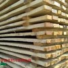 可定制 各种规格 杨木板材 杨木毛边材 杨木直边材 杨木条