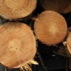 可定制各种规格 南方松原木加工 货源充足 品质保障