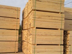 各类尺寸板材 方材 家具板材 木材生产批发图1