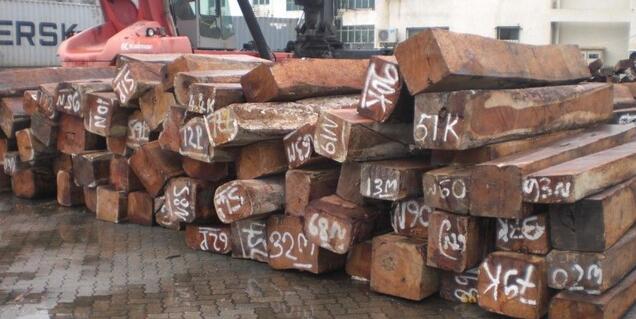 越便宜的木材越好走：张家港所罗门材走货较为迅速