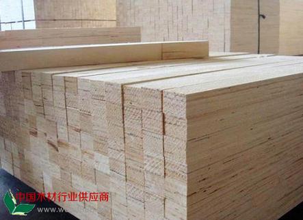 厂家直销 批发杨木板材 杨木原木 大量供应