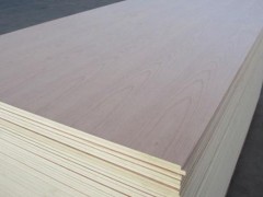 精品细木工板 生态板 专业生产厂家 量大从优