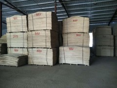 专业生产三层地板用的杨木背板 定做各种规格