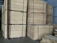 精品杨木背板 专业生产三层地板用的杨木背板，定做各种规格