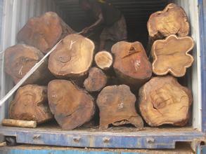 进口原木优质红松原木,东北红松价格